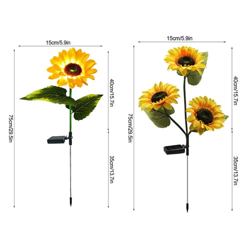 Solar Sunflower — hero centered on white (supplier image)