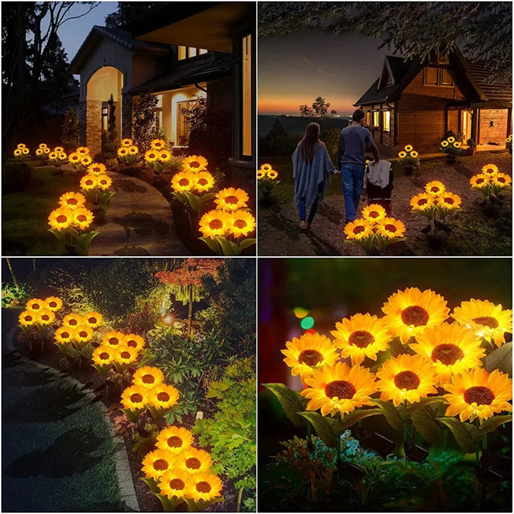 Solar Sunflower — lifestyle crop